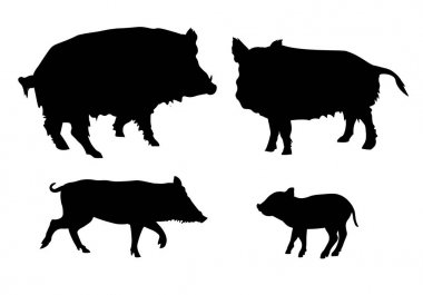 Çeviri: nazo82 Shagrathian