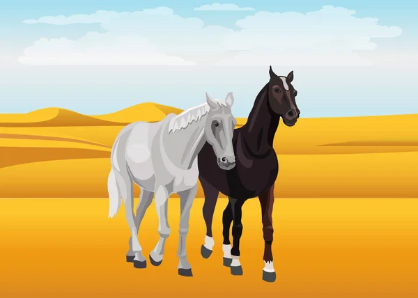 Coppia di cavalli nel deserto — Vettoriale Stock