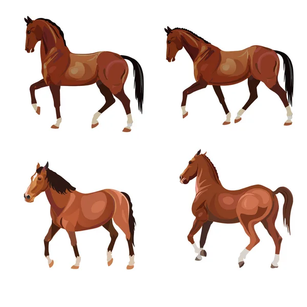 Koně v různých pózách — Stockový vektor