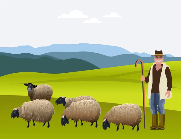 Пастух пасущий стадо овец — стоковый вектор