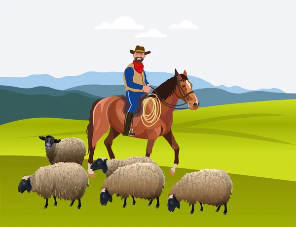 Cowboy troupeau son troupeau de moutons — Image vectorielle