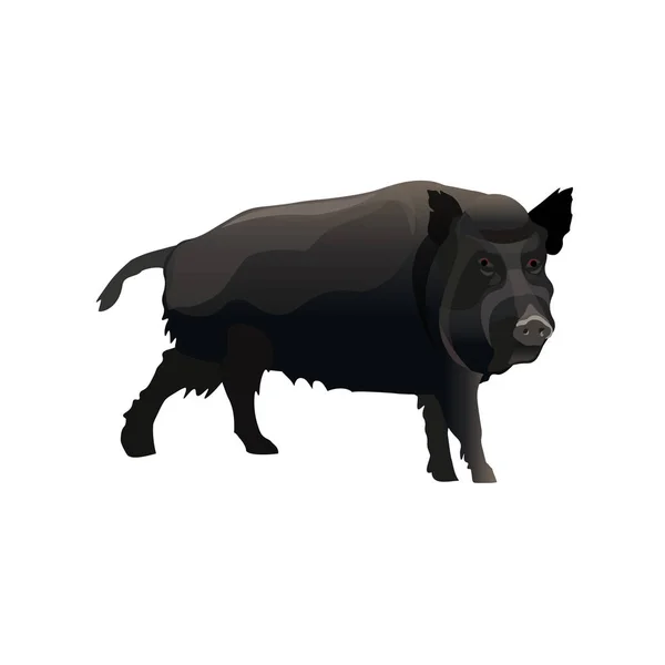 Einzelne Wildschweine — Stockvektor