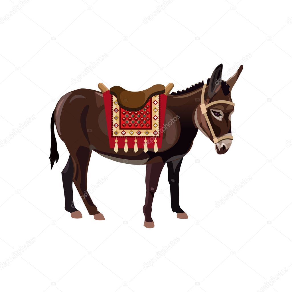 Standing donkey with a saddle