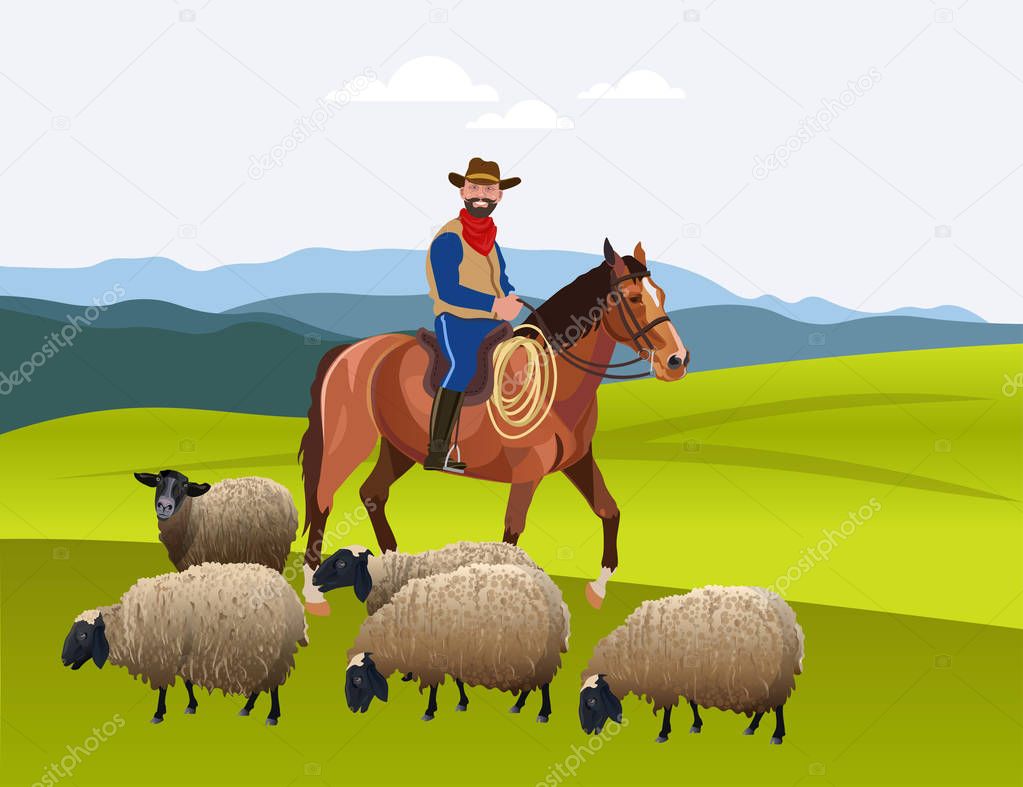 Cowboy herding his flock of sheep