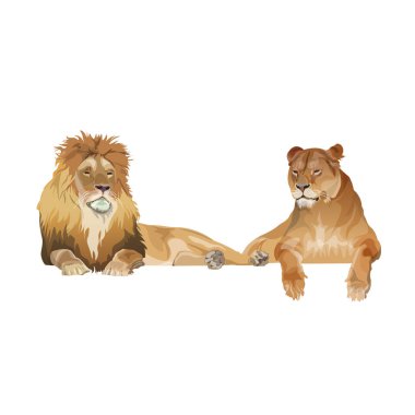 Free Free Lion And Lioness Svg 461 SVG PNG EPS DXF File