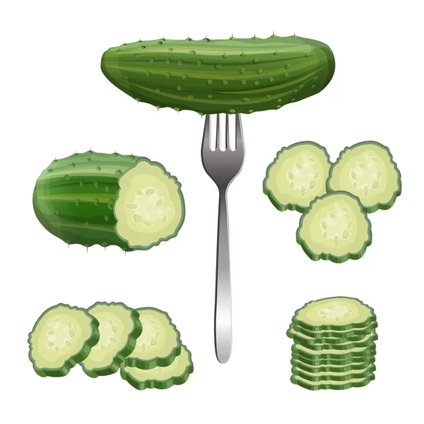 Ensemble de concombre frais, vecteur dans un style réaliste — Image vectorielle