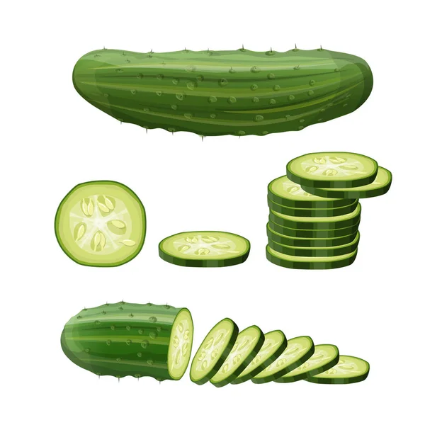 Conjunto de pepino fresco, vector en estilo realista — Vector de stock