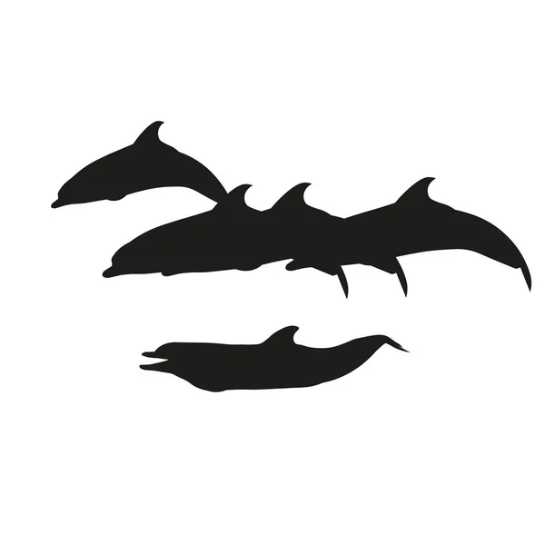 Úszó delfinek sziluettjei, lapos vektor — Stock Vector