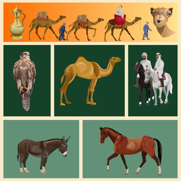 Αραβικό σύνολο ζώων, διανυσματική εικόνα σε ρεαλιστικό στυλ — Διανυσματικό Αρχείο