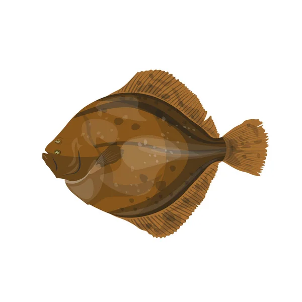 Flounder fish, vector illustration in flat style — Stock Vector