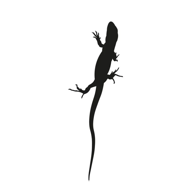 Silueta de lagarto, imagen vectorial en estilo plano — Vector de stock