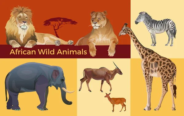 Vida silvestre africana, imagen vectorial en estilo realista — Vector de stock