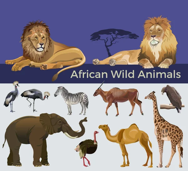 Vida silvestre africana, imagen vectorial en estilo realista — Archivo Imágenes Vectoriales