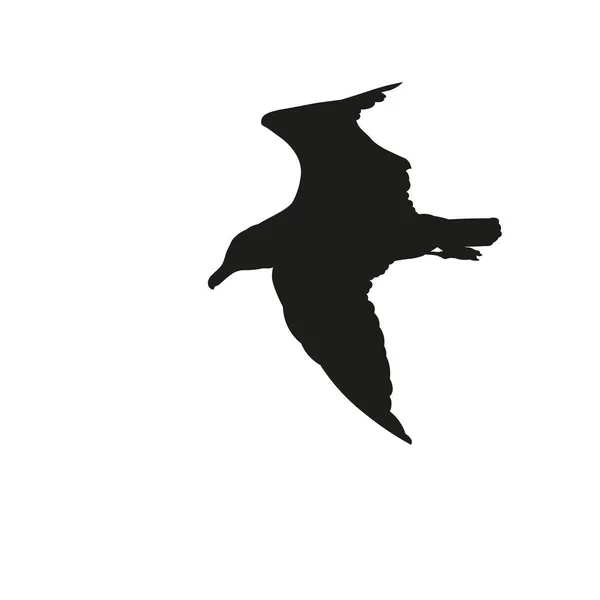 Silhouette d'une mouette volante, image vectorielle dans un style plat — Image vectorielle