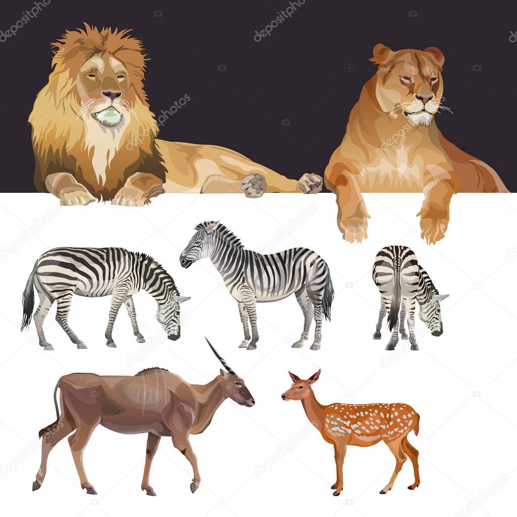 African predators and herbivores, realistic vector image