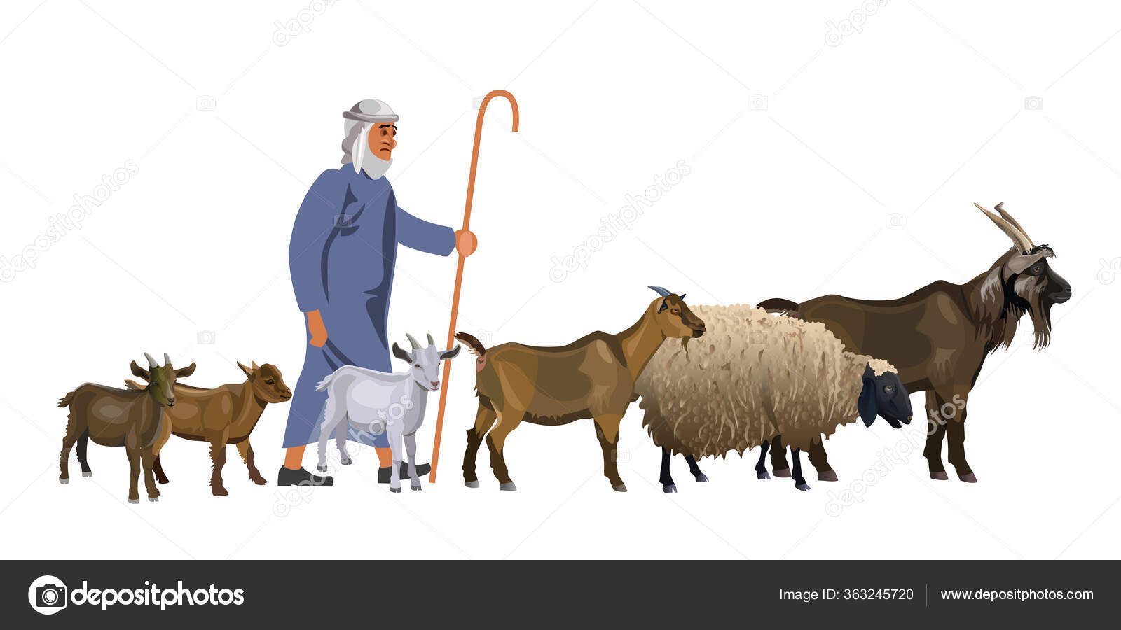Shepherd Herd Goats Sheep Vector Illustration Isolated White Background  Stock Vector Image by ©newgena #363245720