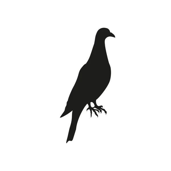 Silhouette Pigeon Transporteur Homer Colombe Illustration Vectorielle Isolée Sur Fond — Image vectorielle