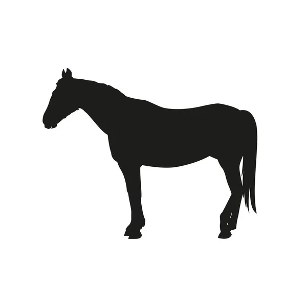 Silhouette Cheval Debout Vue Côté Illustration Vectorielle Isolée Sur Fond — Image vectorielle