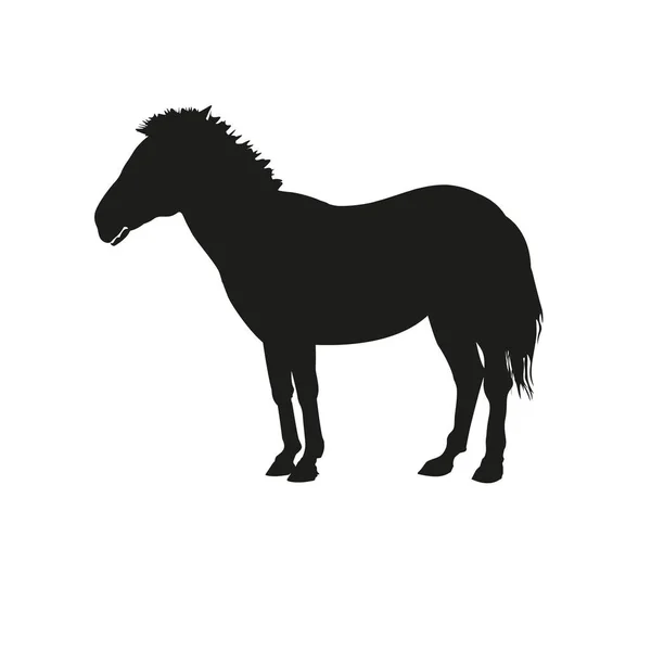 一只站立的斑马的黑色轮廓 白色背景上孤立的向量图 — 图库矢量图片