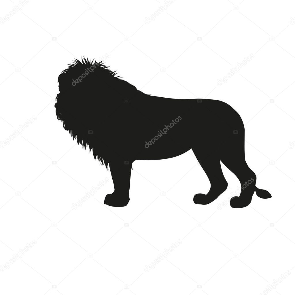 Silhouette of african lion standing side view. Vector illustration isolated on the white background