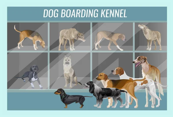 Psi různých plemen v psí boudě — Stockový vektor