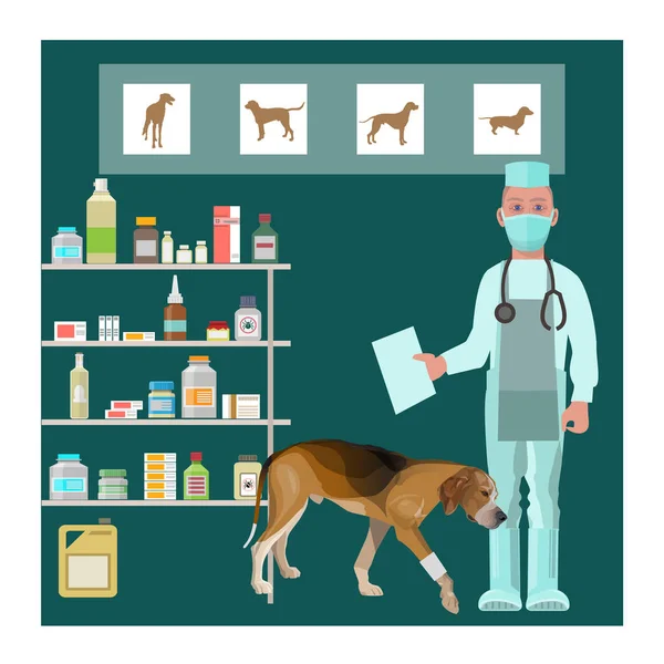 Clinique vétérinaire avec médecin vétérinaire et chien malade — Image vectorielle