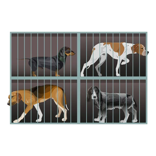 A shelter for homeless animals. Dogs inside a cage — Stock Vector