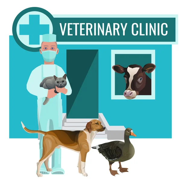 Clínica veterinaria con médico y animales de granja — Vector de stock