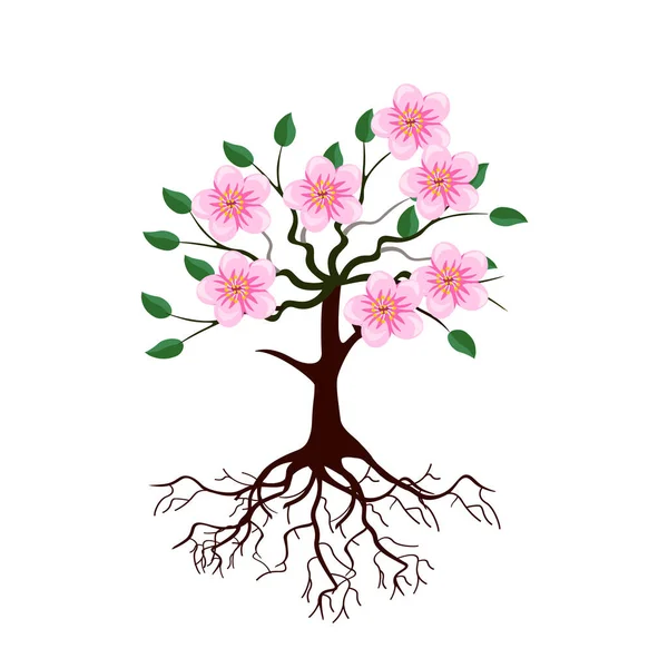 Kwitnące drzewo z różowymi kwiatami w stylu kreskówki — Wektor stockowy