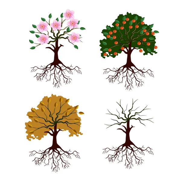 Apfelbaum in verschiedenen Jahreszeiten Cartoon-Stil — Stockvektor