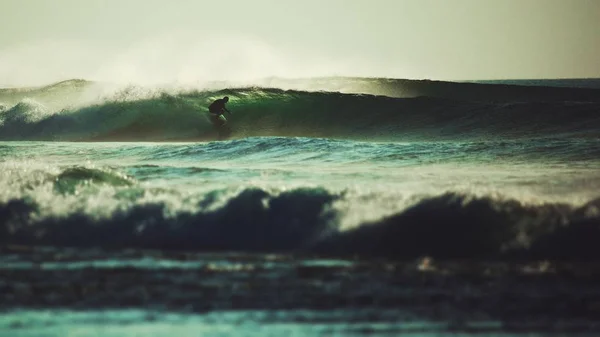 surfer catching breaking wave in Bali