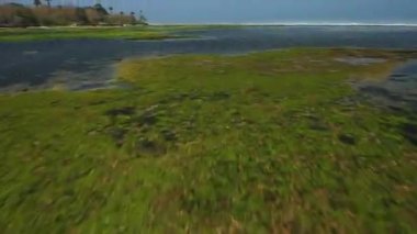 Yeşil deniz suyu dokusunun yüksek irtifasından havadan aşağıya doğru. Kamera suyun üzerinde uçuyor, su yüzeyini görüyor. Su yüzeyinin arka planı