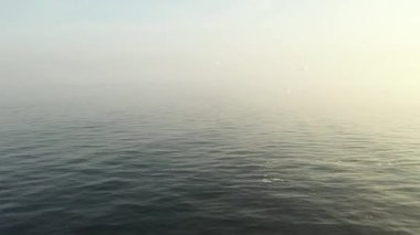 Yeşil deniz suyu dokusunun yüksek irtifasından havadan aşağıya doğru. Kamera suyun üzerinde uçuyor, su yüzeyini görüyor. Su yüzeyinin arka planı