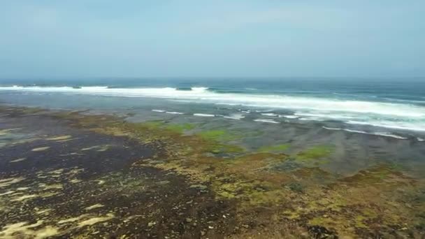 Vista Aérea Arriba Hacia Abajo Desde Gran Altitud Textura Verde — Vídeos de Stock