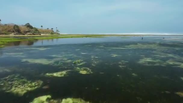 緑の海の水のテクスチャの高高度からの空中トップダウンビュー カメラは水面に飛び 水面の景色を眺める 水面の背景 — ストック動画