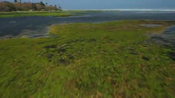 Vue aérienne du haut vers le bas depuis une haute altitude de texture d'eau de mer verte. La caméra survole l'eau, une vue de la surface de l'eau. Contexte de la surface de l'eau
