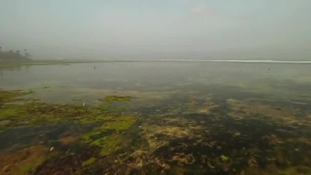 Вид Зверху Вниз Висоти Текстури Зеленої Морської Води Камера Летить — стокове відео