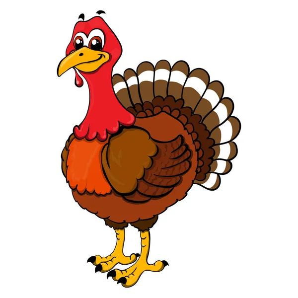 Illustration of a cartoon turkey — Stock Vector