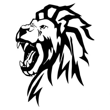 Aslanın kafasından izole gösteren resim