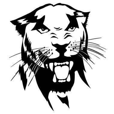 Bir panterin kafa izole gösteren resim