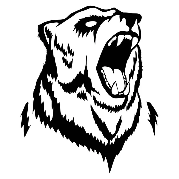 Illustrazione isolata della testa di un orso — Vettoriale Stock