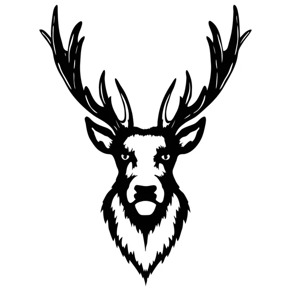 Ilustracja na białym tle głowy jelenia — Wektor stockowy