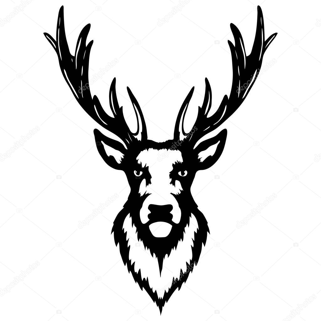 Isolated illustration of a deer head