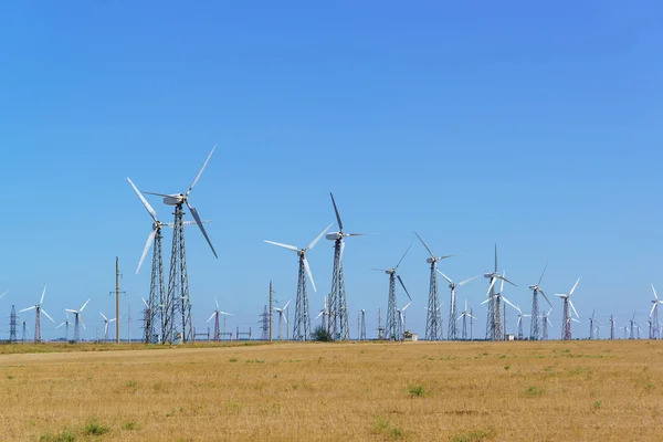 Vertical Wind power Stations (VPP) in the Crimean steppe