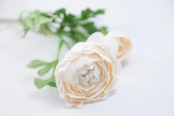 Beyaz masada beyaz çiçekler