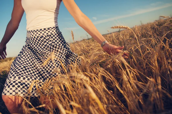 Young girl touching wheat spikes in the field and running