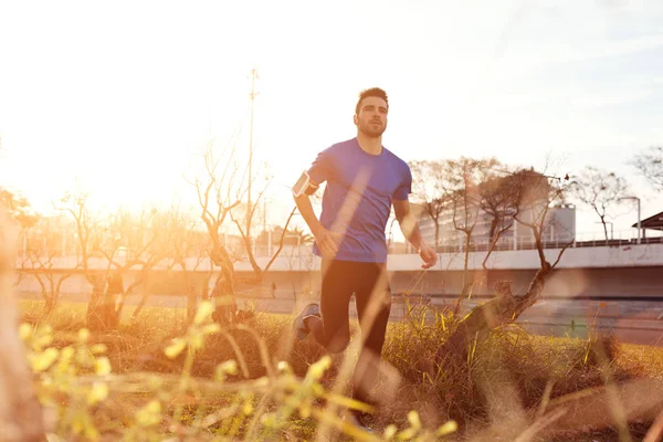 Parkta (küçük mot günbatımında çalışan yakışıklı genç atlet