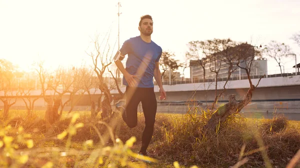 Männlicher Athlet läuft bei Sonnenuntergang im Park (kleine Bewegungsunschärfe), Stockfoto