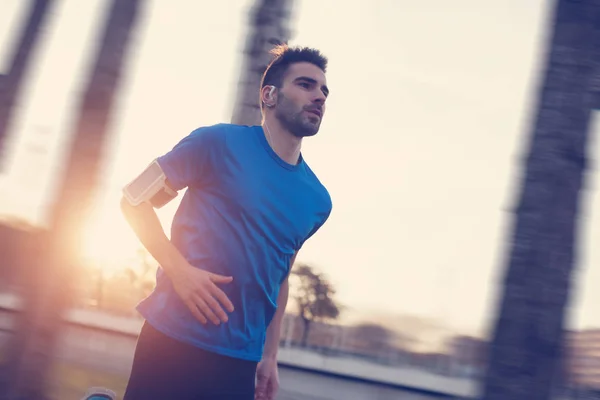 Atleta di primo piano che corre nel parco lungo gli alberi al tramonto (stro — Foto Stock