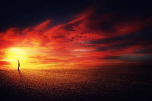 Γραφική ηλιοβασίλεμα σιλουέτα — Φωτογραφία Αρχείου